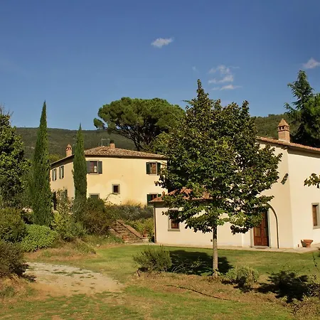 Severini * Cortona
