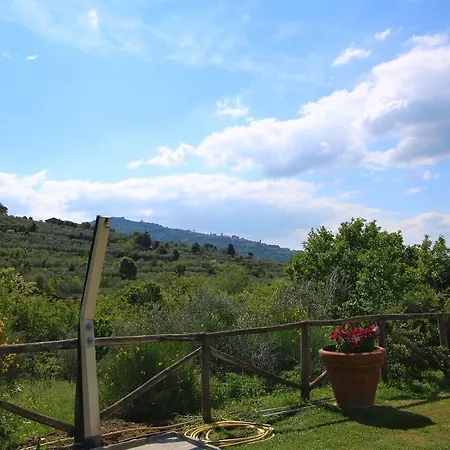 Severini Cortona