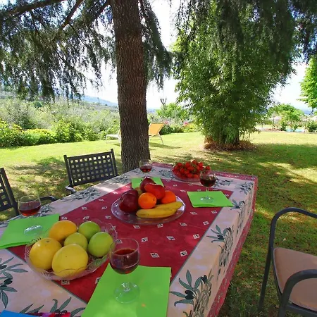 Severini Cortona